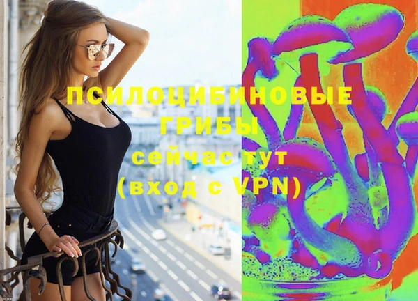 a pvp Абинск
